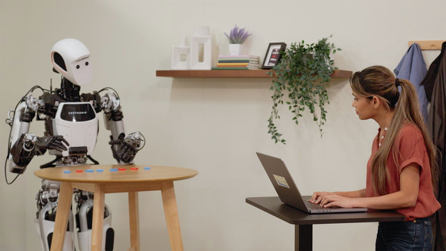 Gemini Robotics