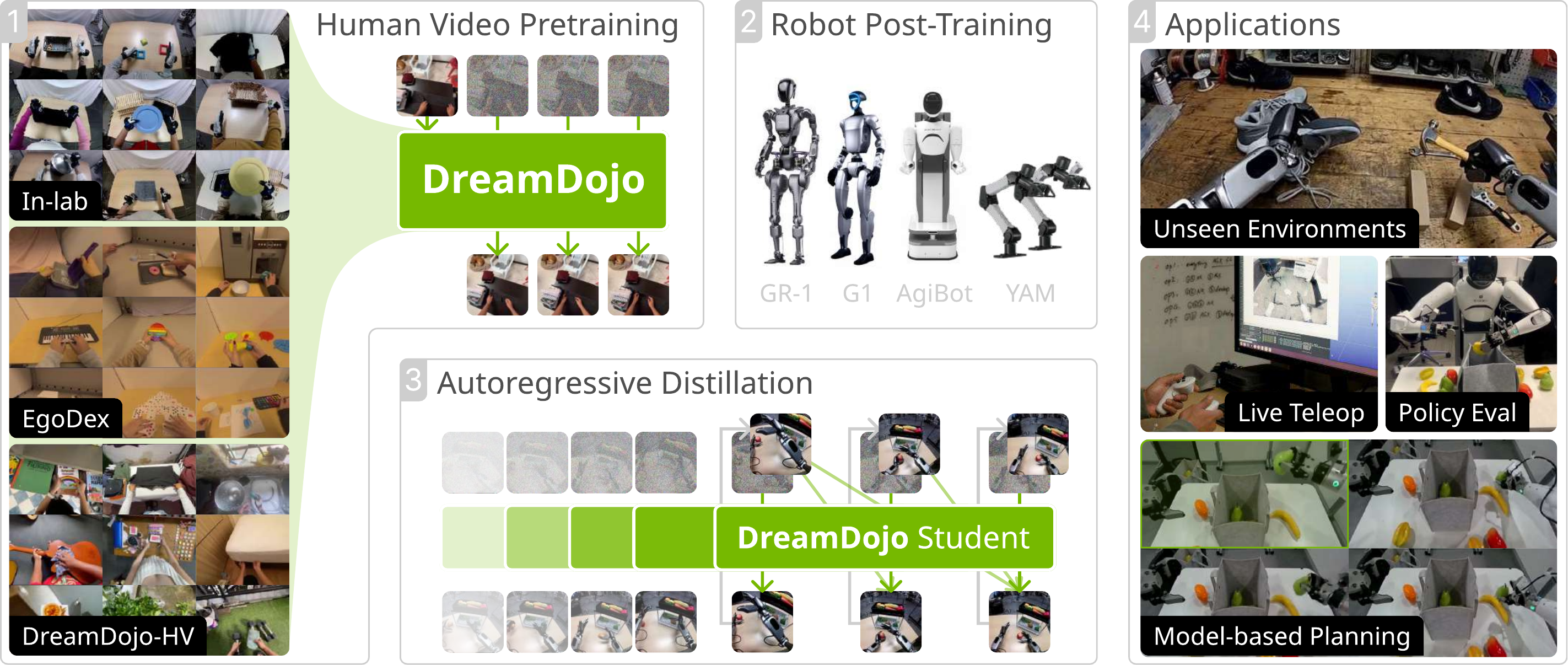 DreamDojo: Human-Video Pretraining → DreamDojo → Robot Post-Training (GR-1, G1, AgiBot, YAM) → Autoregressive Distillation → Applications (Unseen Env, Live Teleop, Policy Eval, Model-based Planning)